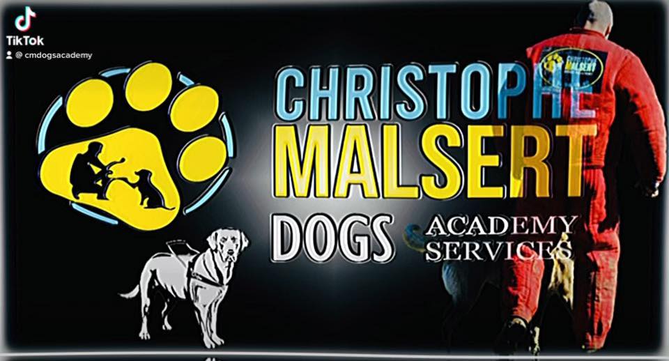Dogs Academy & Services