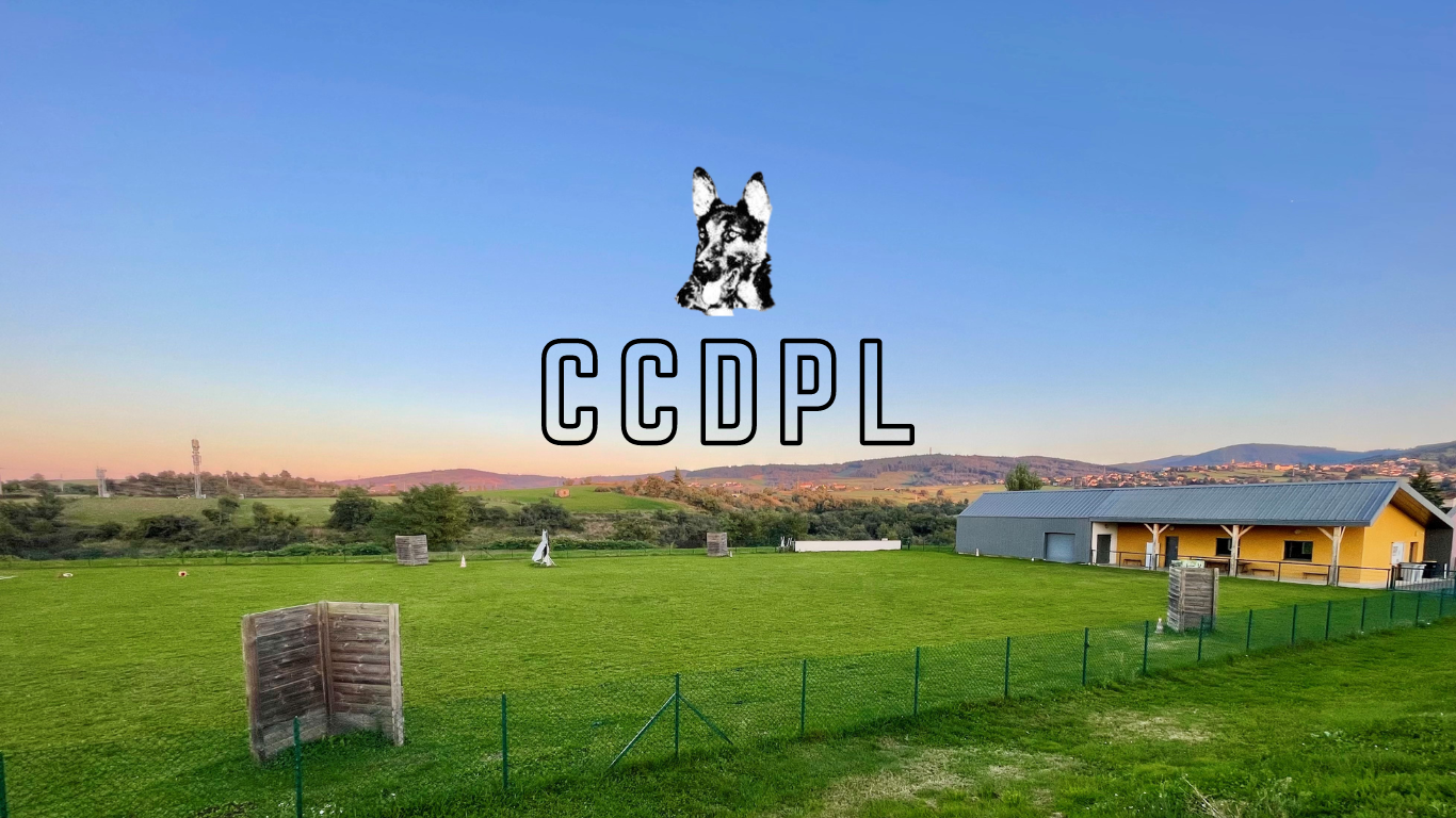 Ccdpl