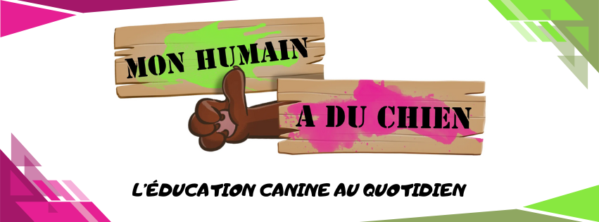Mon Humain A Du Chien