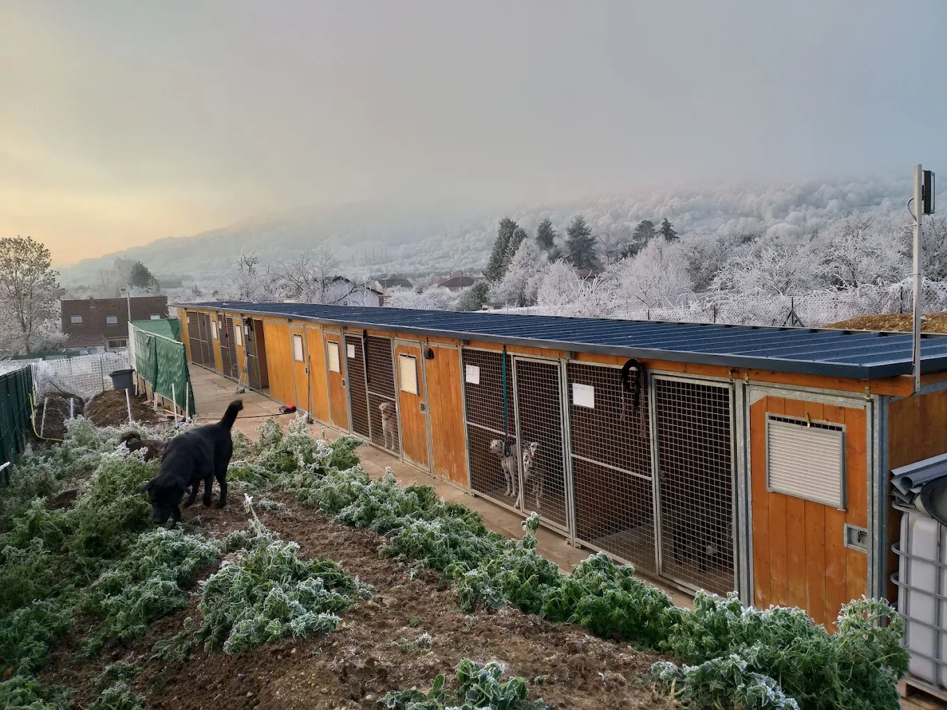 Centre Canin Fayaland