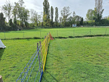 Club des Amis Cynophiles de Verfeil