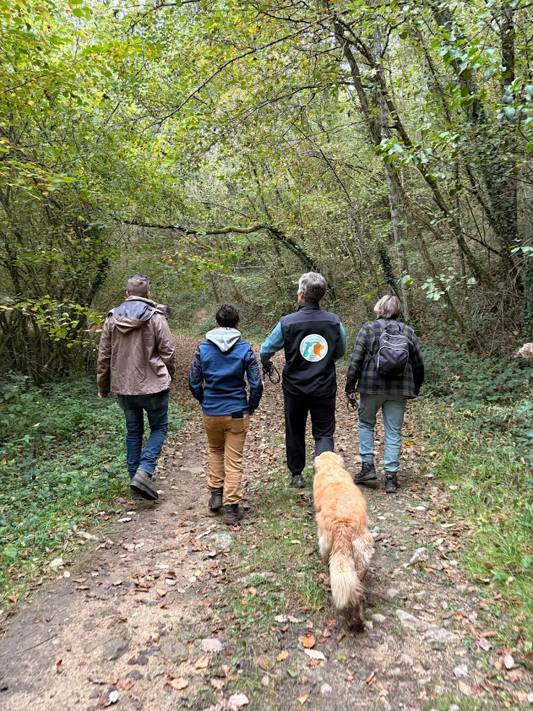 Les Liens D'Armor - Nelly Hopp