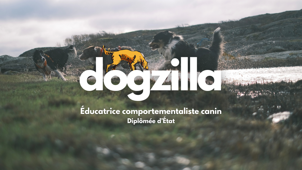 Dogzilla Éduc