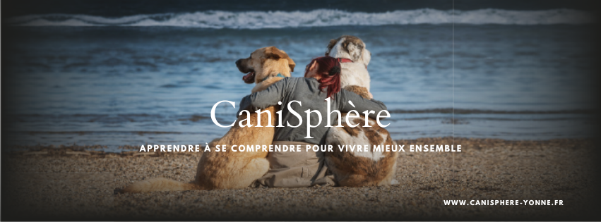 Canisphère