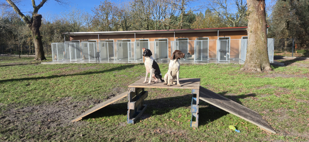 Antony Merle des Isles