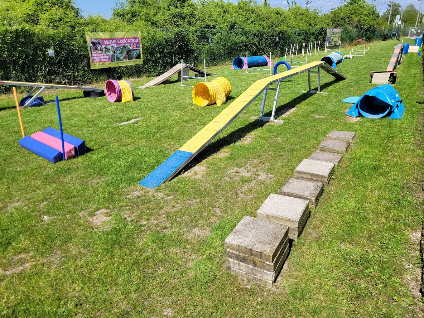 Wouf Éducation à Reims