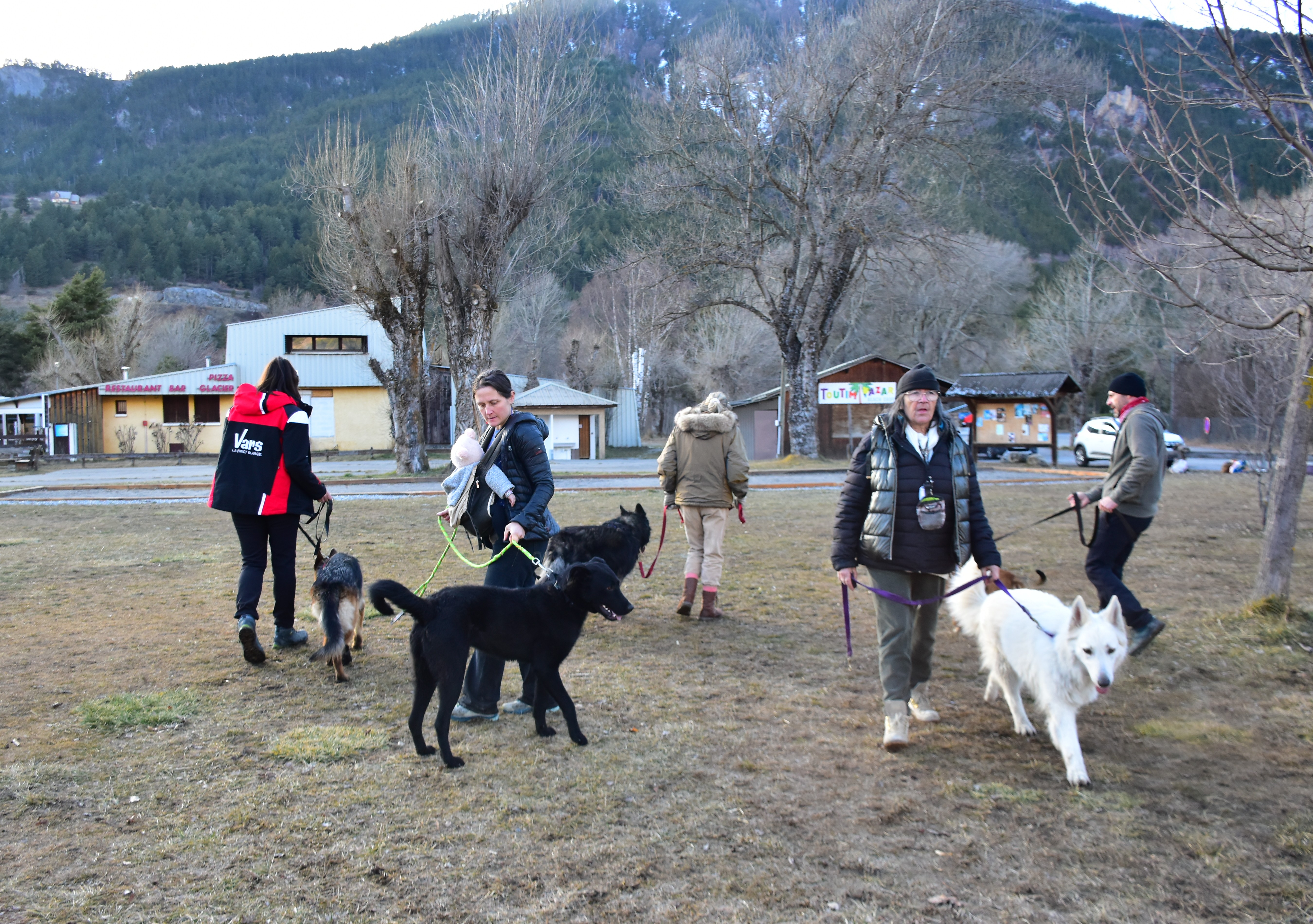 Le Secret des Chiens