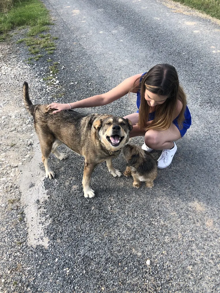 Les Toutous de Valou