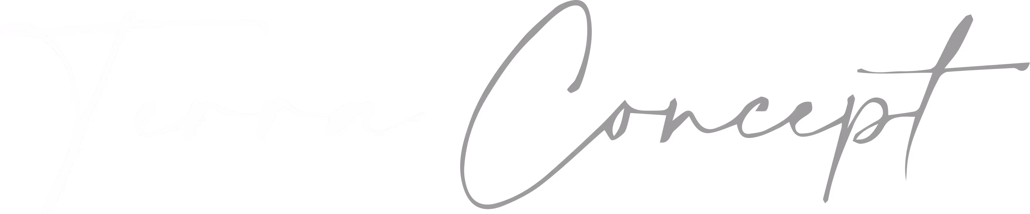 Texte manuscrit stylisé disant Terra Concept sur fond noir.