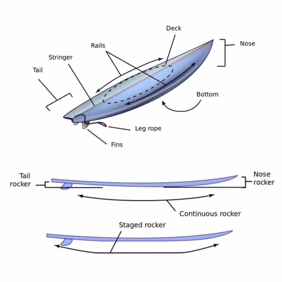 An image of a surfboard labeling all the parts 