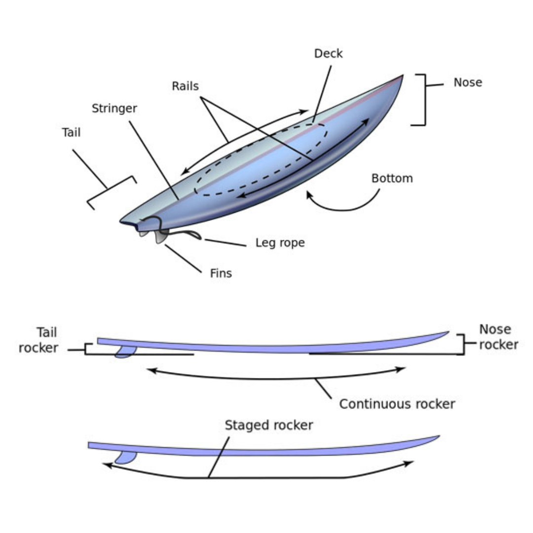 An image of a surfboard labeling all the parts 