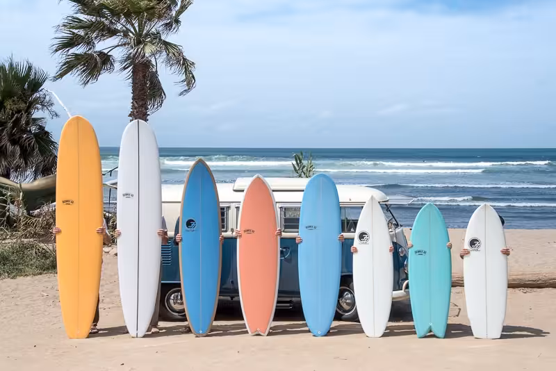 different surfboard types all lined up on the beach with a palm tree in the background