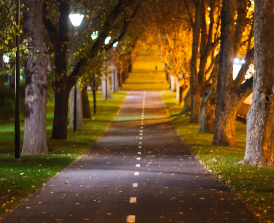 An old long straight road covered by trees