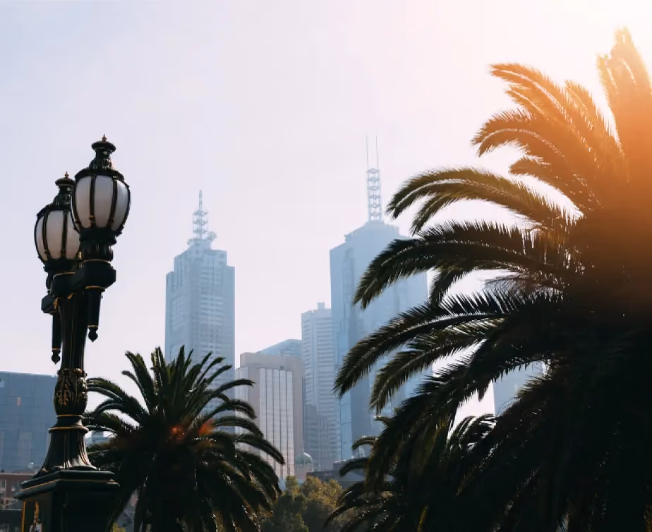 Silhouette of palm trees and city skyline
