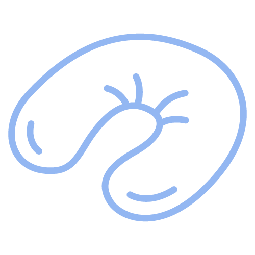 Designed to be a long-term fix