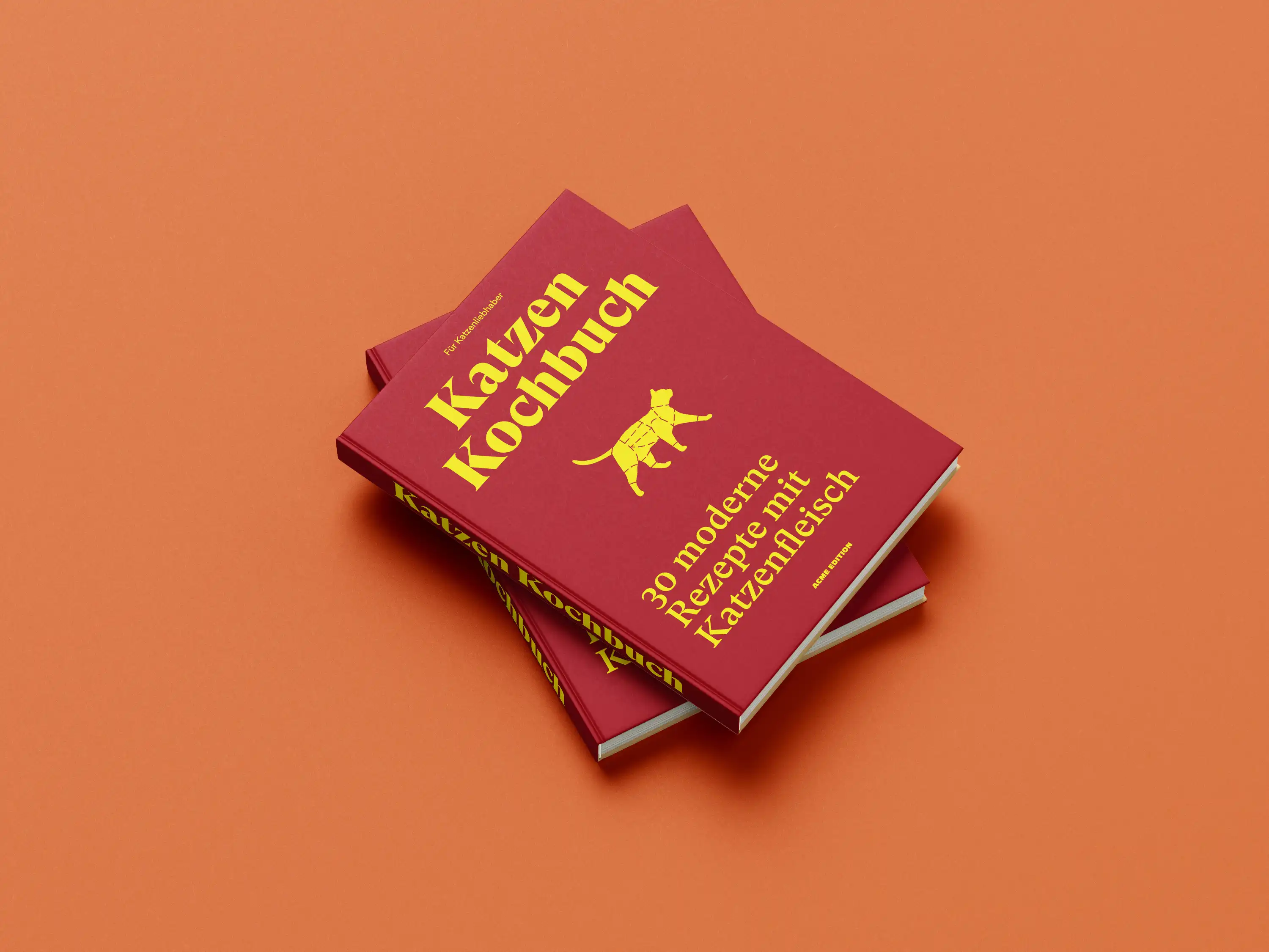 Das Cover des neuen Katzen Kochbuchs von YES! Creative Digital Marketing aus Chur.