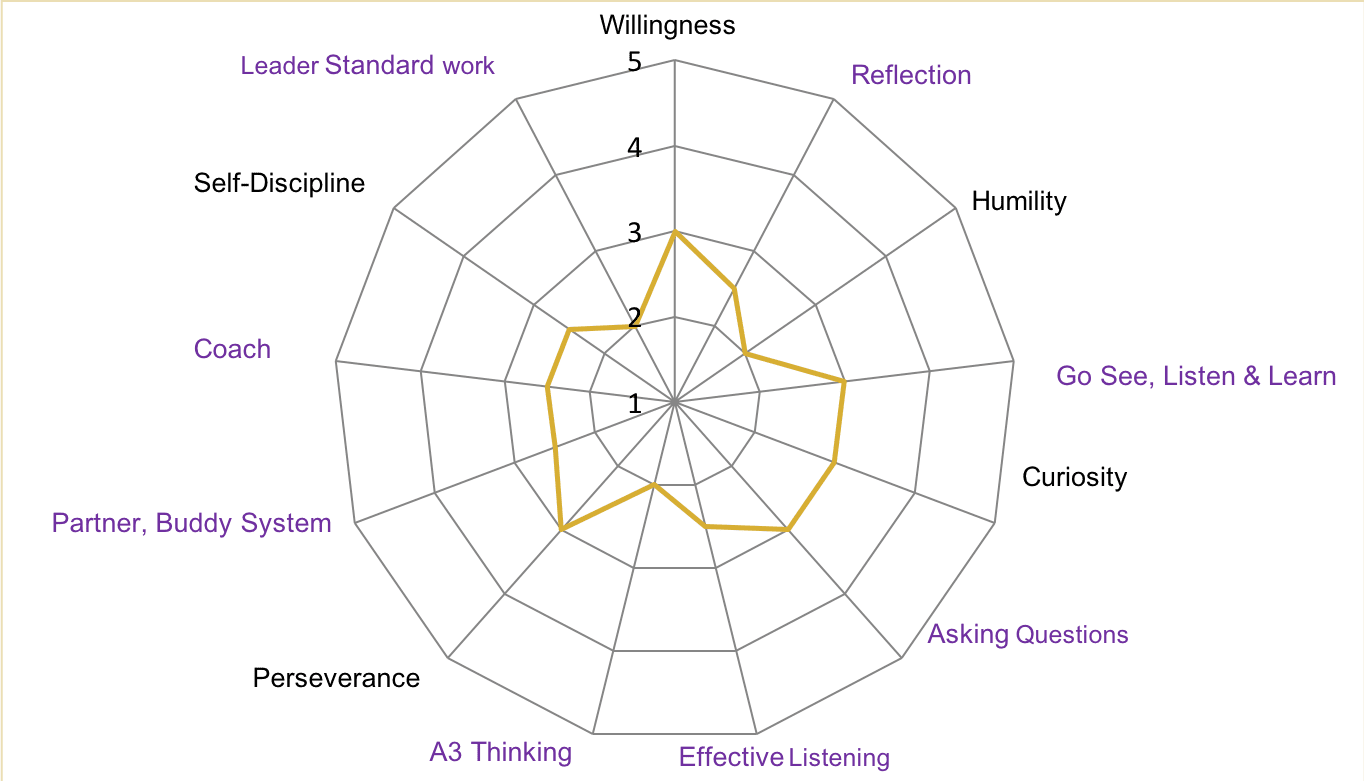 CEO leader standard work