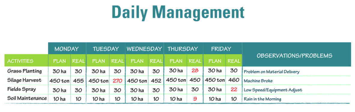 Daily management implemented in the Brazilian lean farms