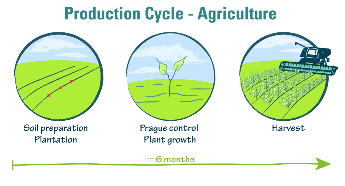 The agricultural production cycle