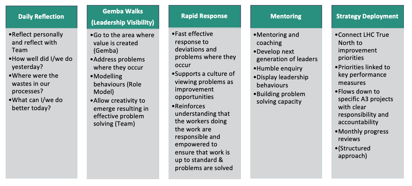 The five elements of leader standard work at Life Healthcare