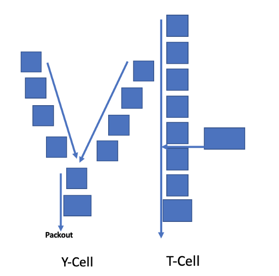 Y and T cells