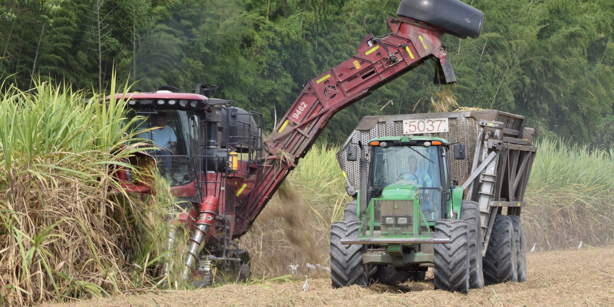 The harvest of the future