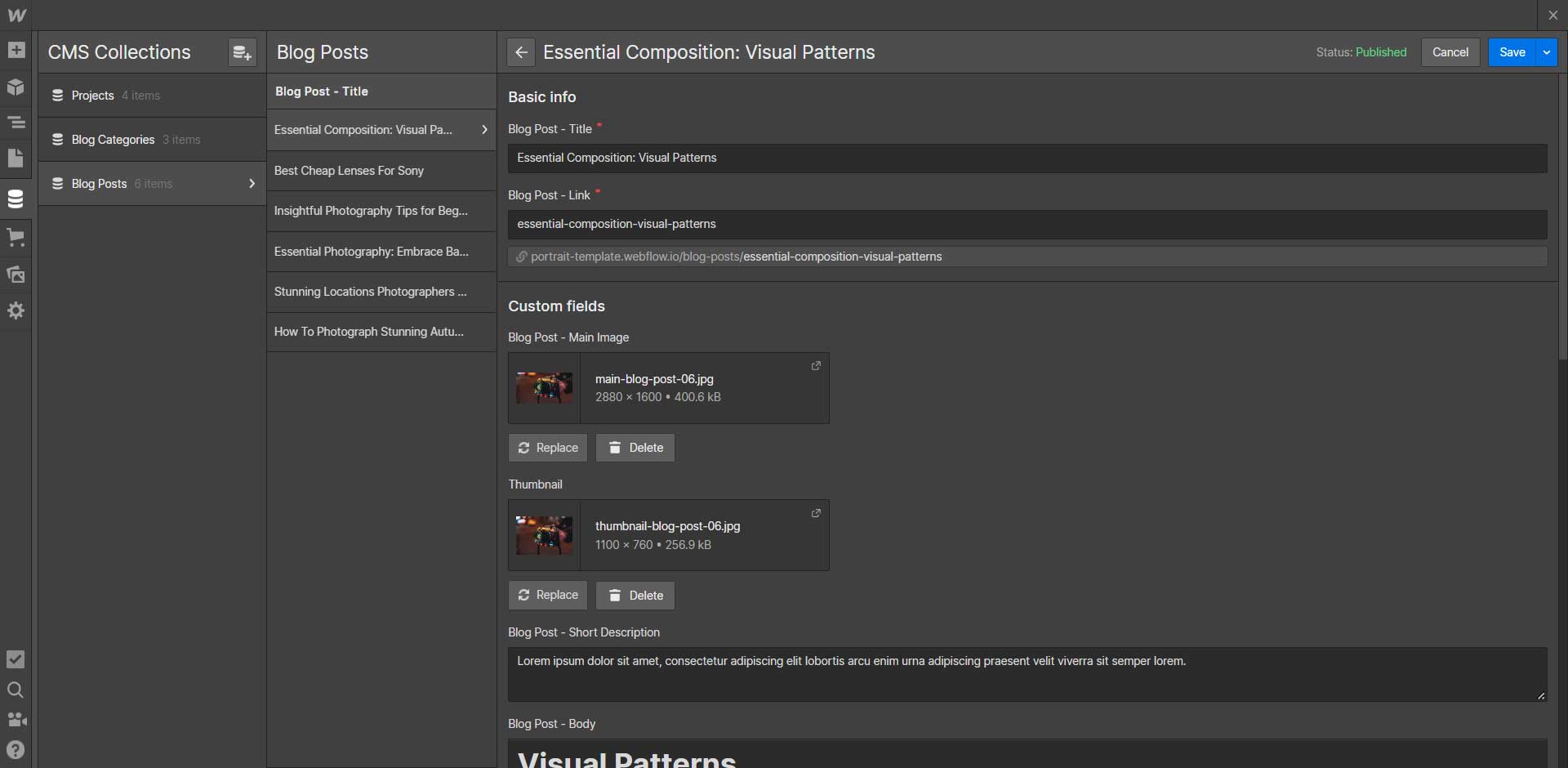 CMS Instructions - Portrait Webflow Template