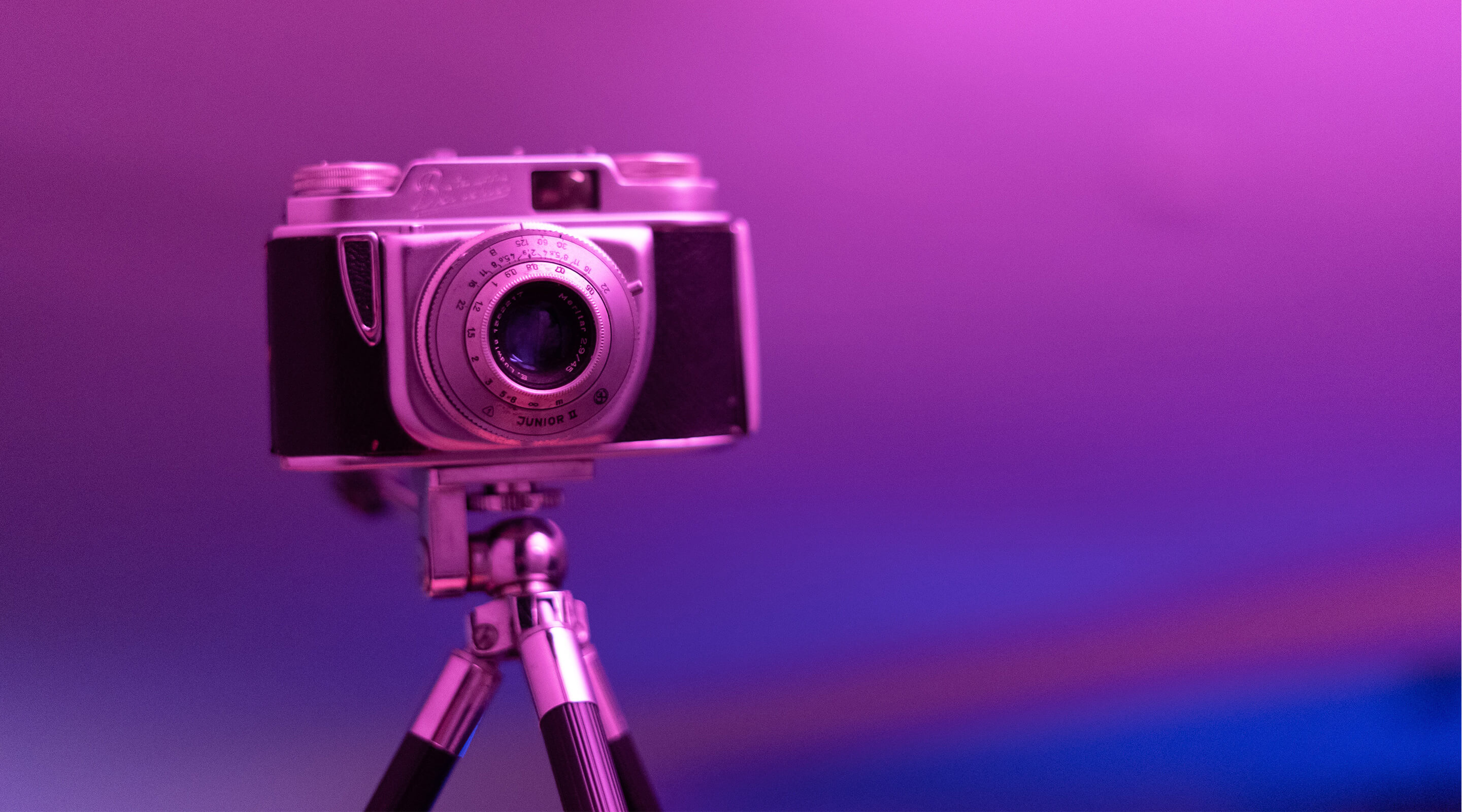 Insightful Photography Tips for Beginners