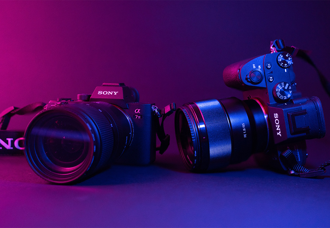 Essential Photography: Embrace Backlight