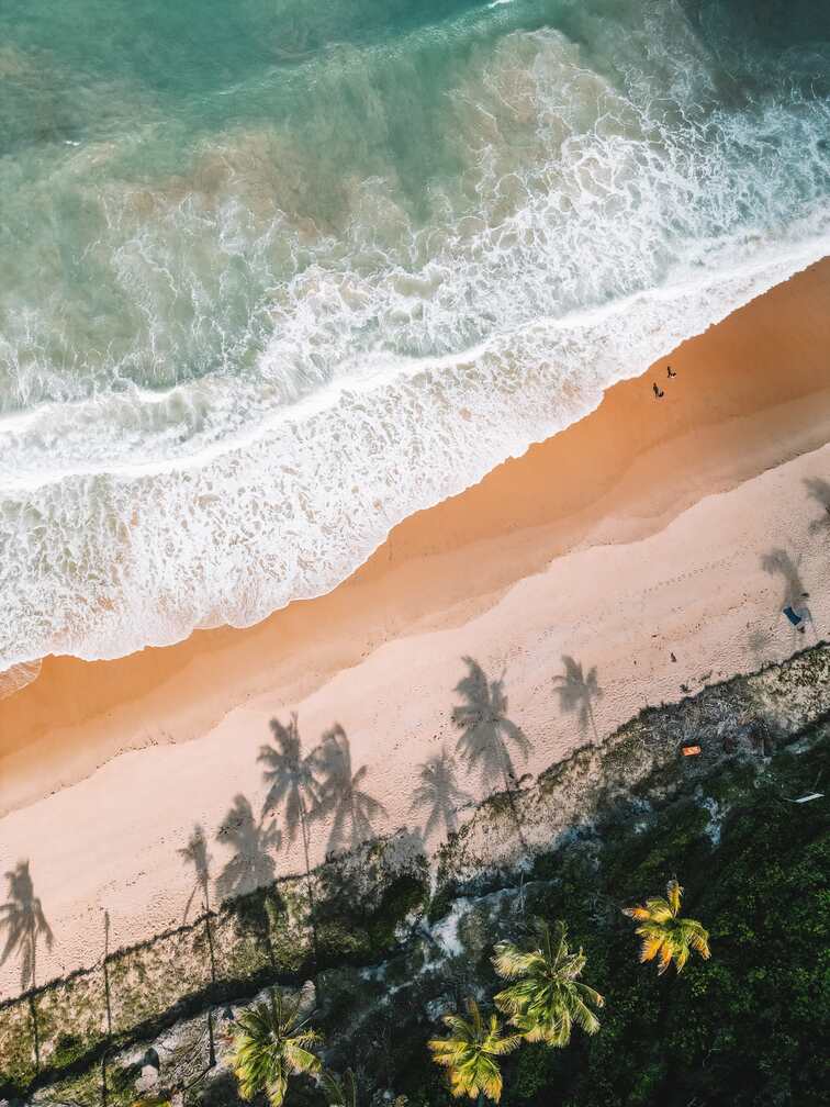 Aerial view of a sandy beach with turquoise waves, palm trees casting long shadows, and two people walking near the water.