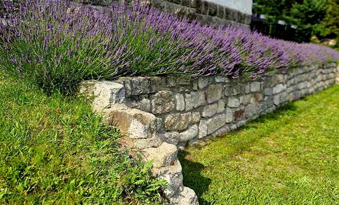 Retaining wall maintenance