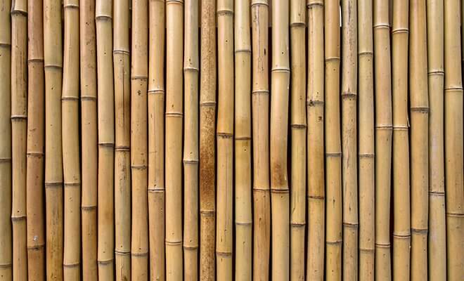 Bamboo deck