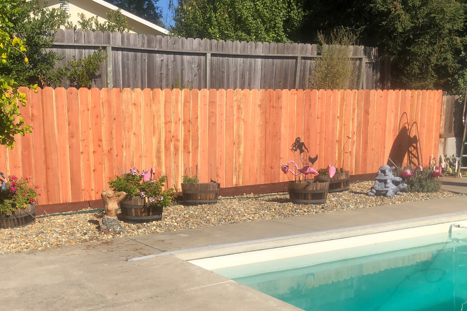 The Best Fence Company in Fayetteville for Ozark Foothills Privacy Fences