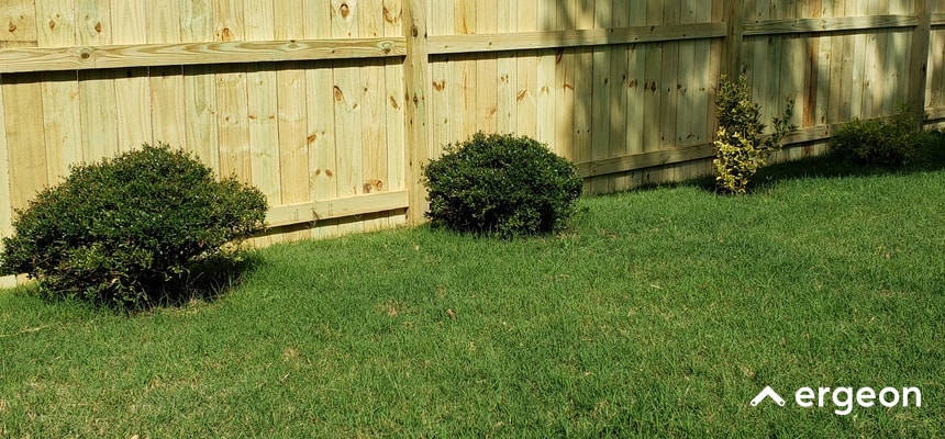 This image shows a section of a new, light-colored wooden privacy fence installed along a green lawn. The fence consists of vertical wooden planks supported by horizontal braces. In front of the fence, there are neatly trimmed bushes spaced evenly, contributing to a well-maintained landscape. The grass is lush and green, suggesting proper lawn care. The image includes a small logo watermark from 'ergeon' in the bottom right corner, likely indicating a home services provider. This photo could be used to illustrate residential fencing and landscaping standards or guidelines in a homeowners association (HOA) setting specific to Marietta.