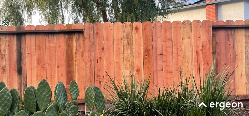 The image depicts a section of a residential property featuring a newly installed wooden fence made of vertically aligned wood planks in varying natural shades. In front of the fence, there are various types of plants including cactus and grasses, adding a decorative and natural element to the boundary line. The background includes trees and part of a house roof, suggesting a suburban outdoor setting. The image is branded with the 'ergeon' logo, indicating its association with property or real estate services.