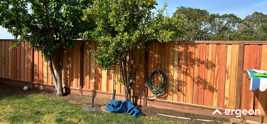 This image shows a well-maintained backyard scene featuring a newly installed wooden privacy fence. The fence is constructed with vertical wooden planks and supported by horizontal beams, marking the boundary line of the property. In front of the fence, there are two small trees, a garden hose coiled and mounted on the fence, a blue tarp on the ground, and a small patch of grass and soil. The image also includes the logo of 'ergeon' in the bottom right, suggesting the context of property line surveying and fencing services. This visual can be used to illustrate property boundary demarcation and fencing solutions in landscaping or real estate documentation.
