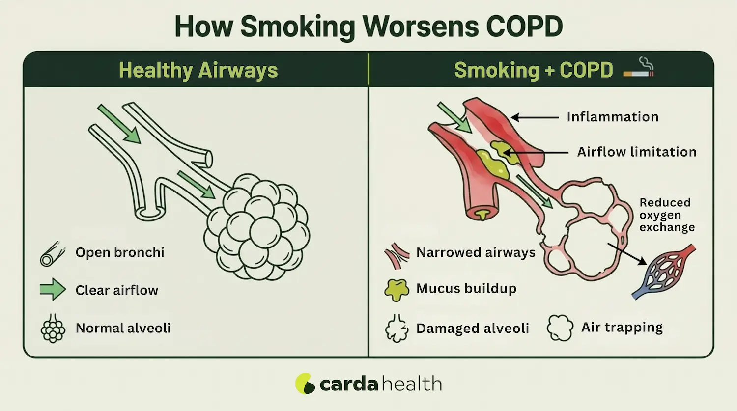 How smoking worsens COPD airflow inflammation and alveoli damage diagram
