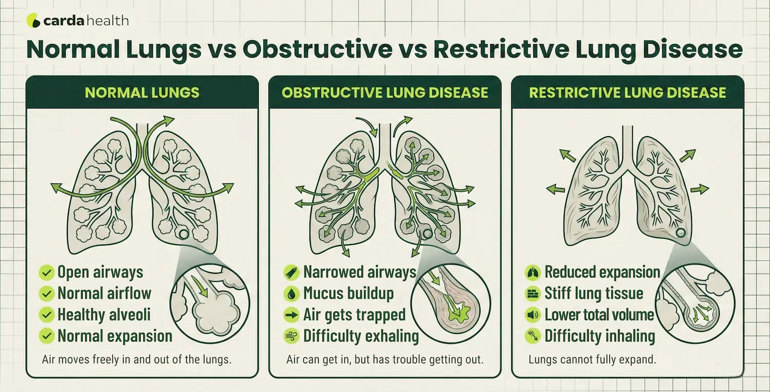 Comparison of normal lungs, obstructive lung disease, and restrictive lung disease