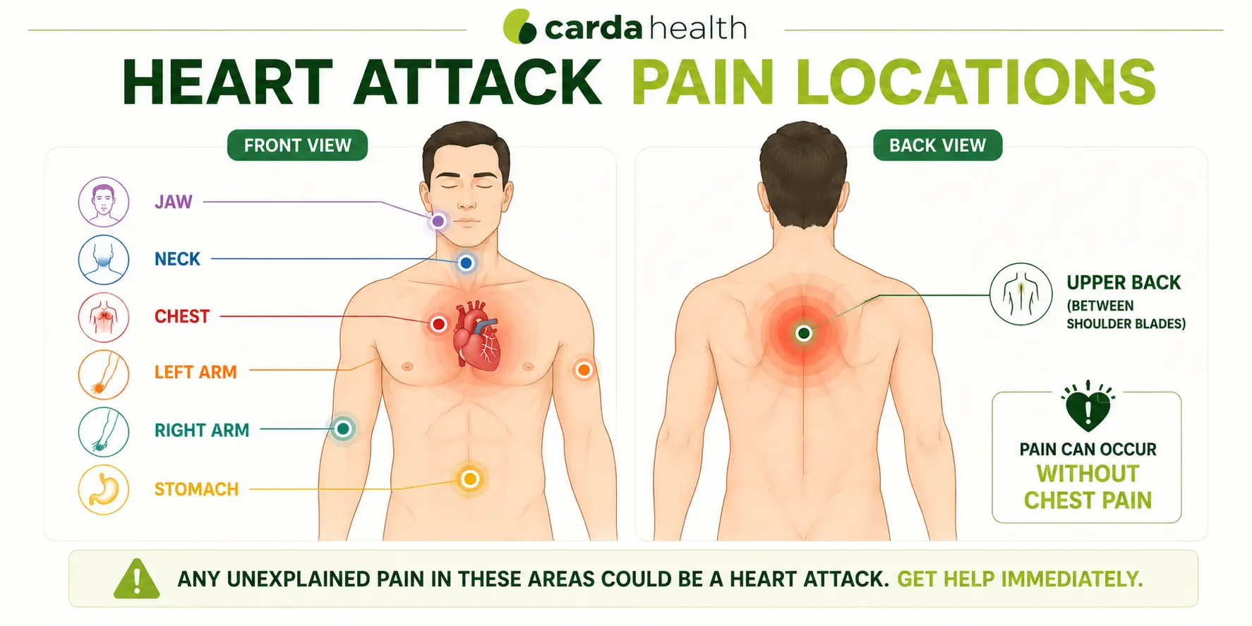 Front and back body diagram showing all locations where heart attack pain can appear
