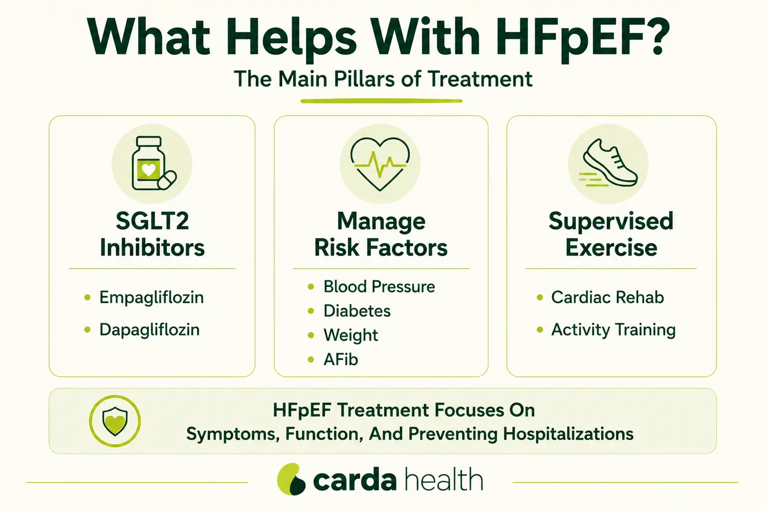 The main pillars of HFpEF treatment.