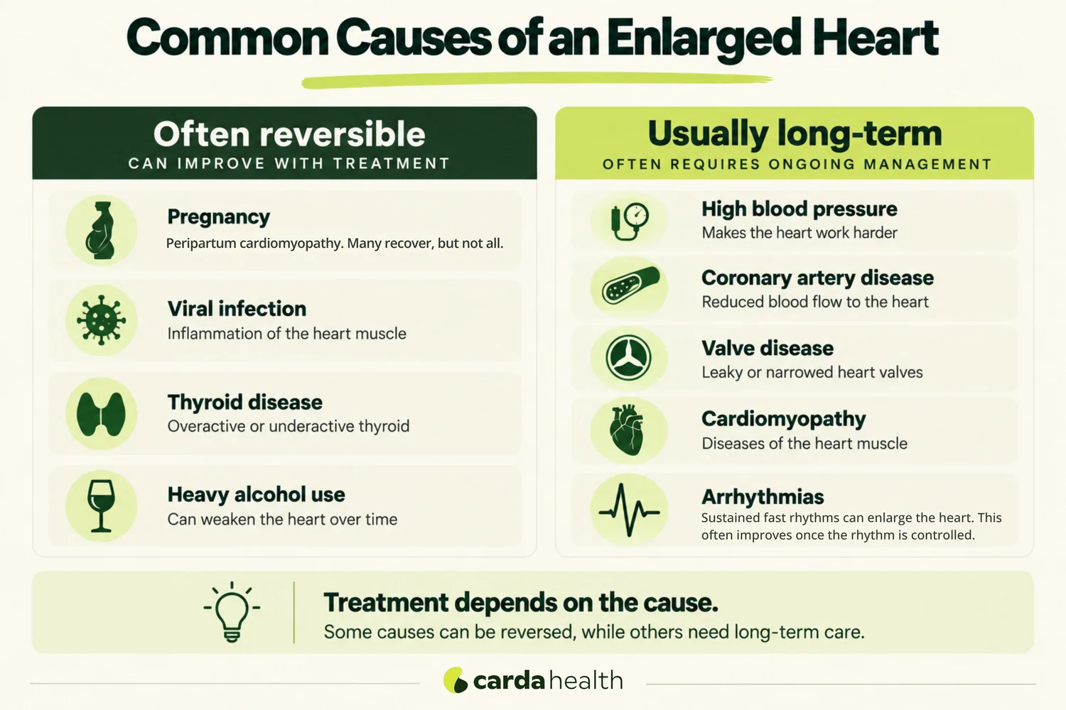 Infographic grouping the causes of an enlarged heart into potentially reversible conditions and long-term heart diseases, with peripartum cardiomyopathy shown as a distinct condition rather than as a normal change of pregnancy.