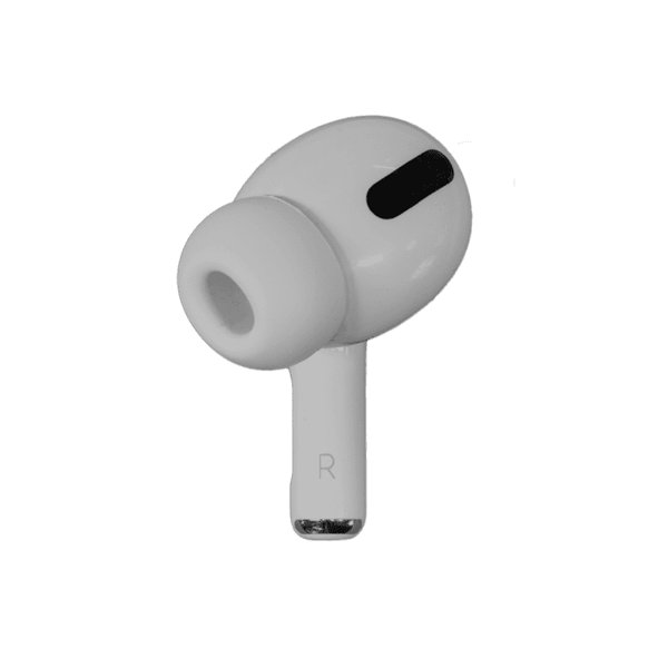 A photo of the item before transitioning to the CT scan display.