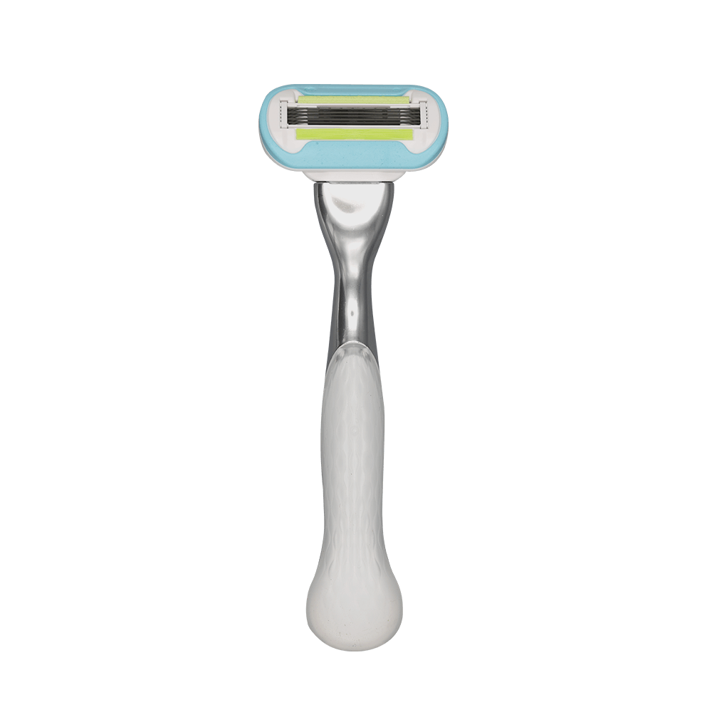 A photo of the item before transitioning to the CT scan display.