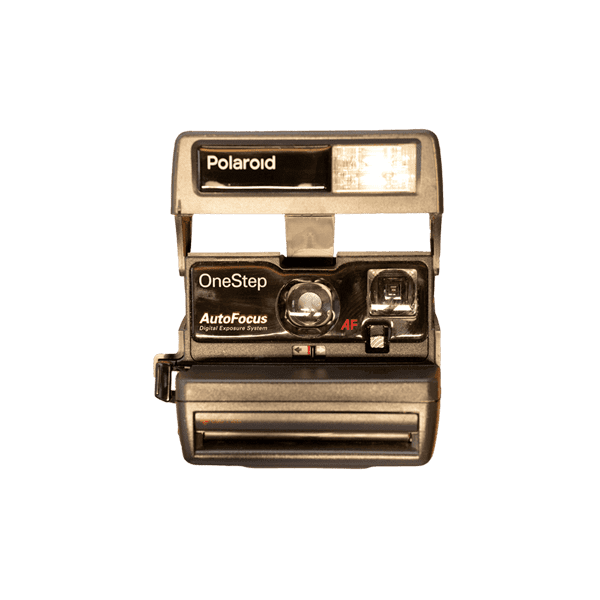 A photo of the item before transitioning to the CT scan display.