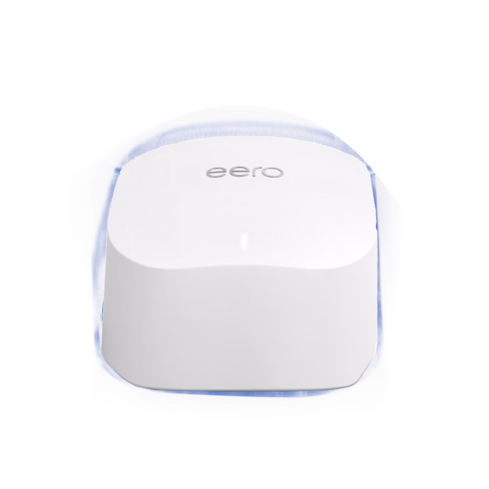 A photo of the item before transitioning to the CT scan display.