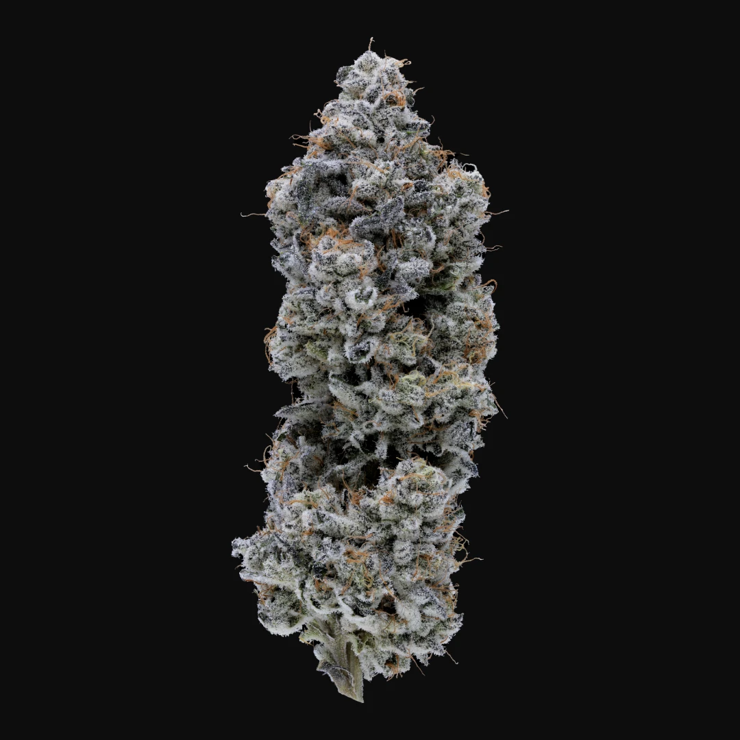 Animal Mints Bx1 harvested flower, as labeled by the cited photo source