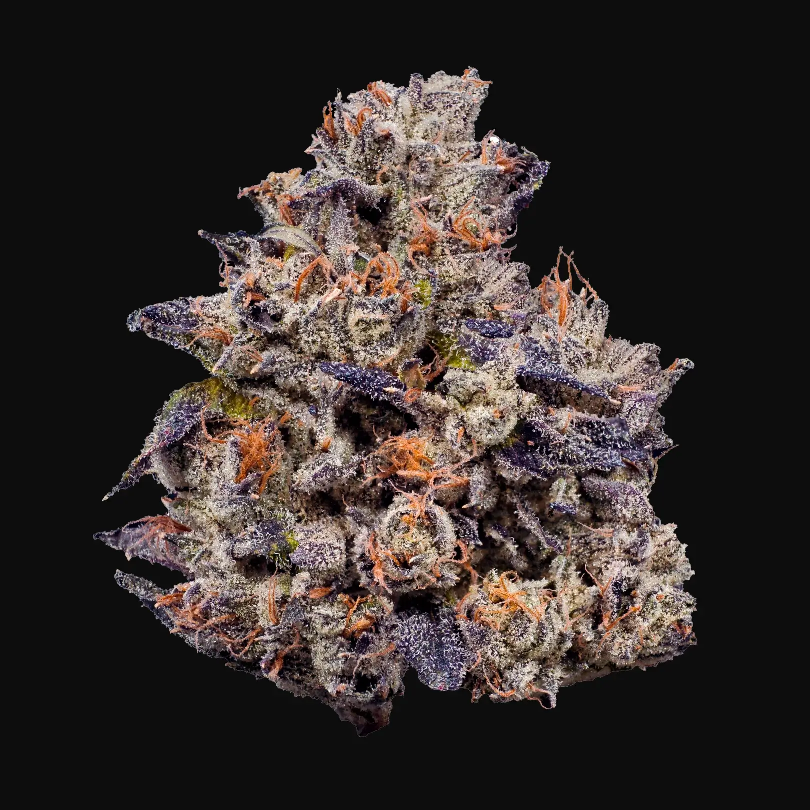 Lemon Cherry Gelato Strain | Fig Farms