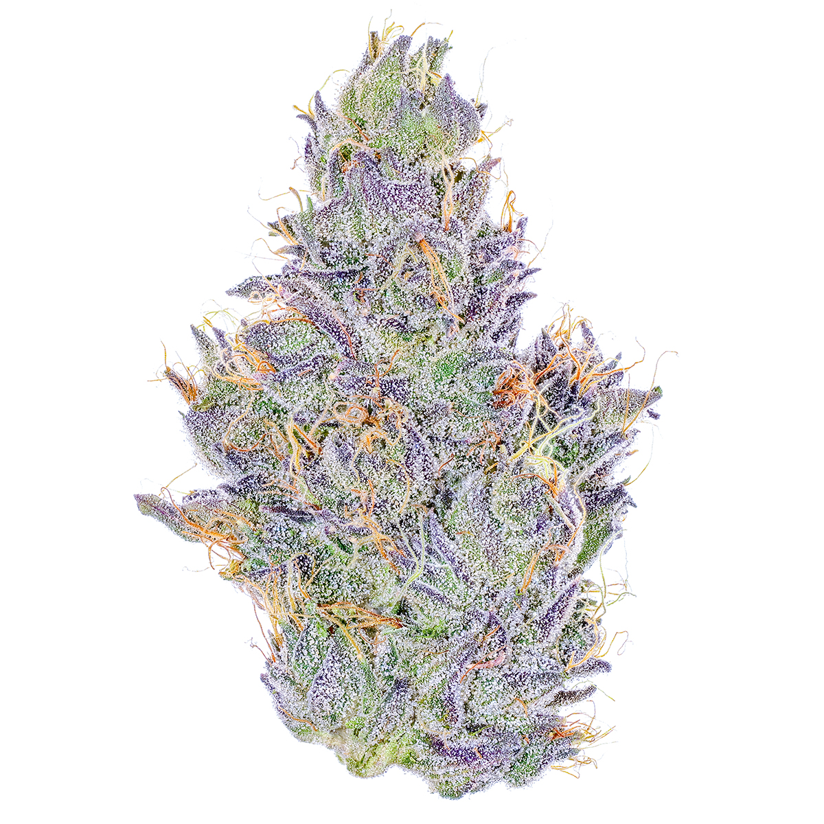 Koala Crack strain by Fig Farms Moonana Wreck x Zeclair |