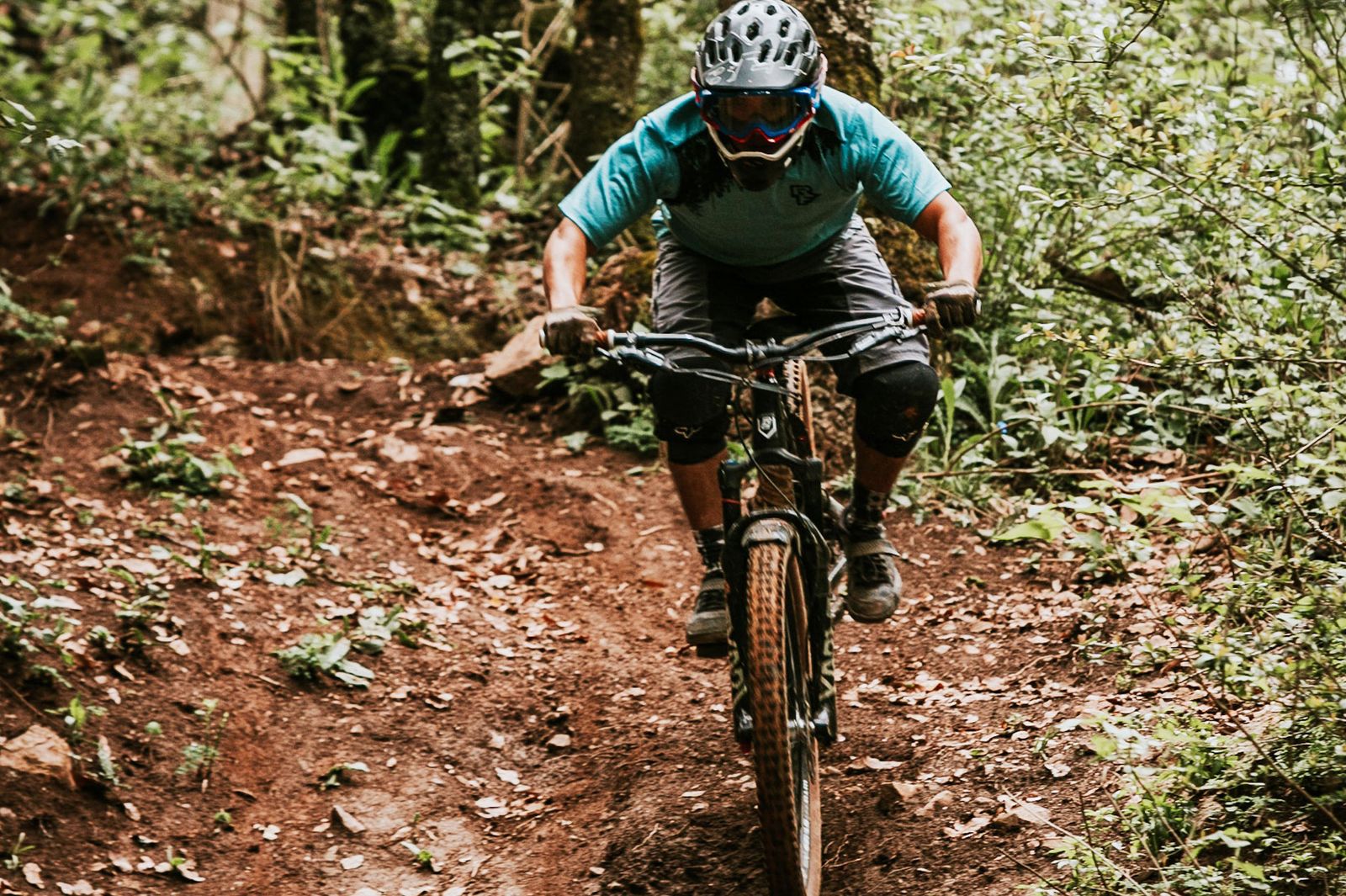 Basic Mountain Biking Words & Jargon Glossary - EA Mountain Bike ...