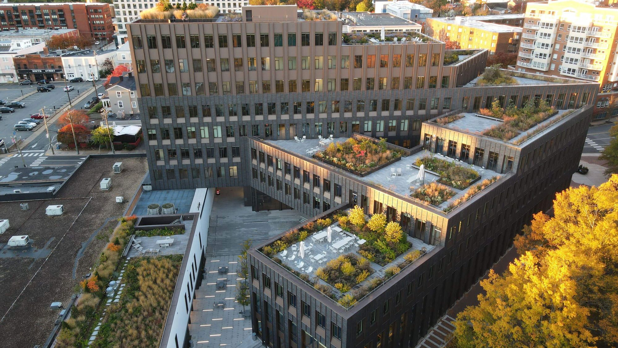 About Our Green Roof Work :: Living Roofs Inc.